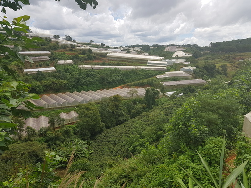 Farms