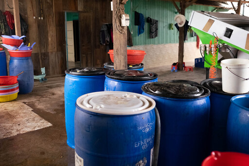 Fermentation