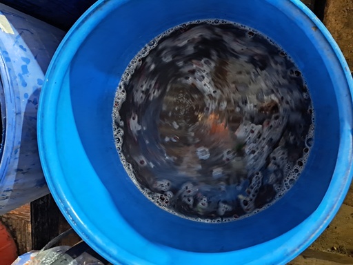 Fermentation