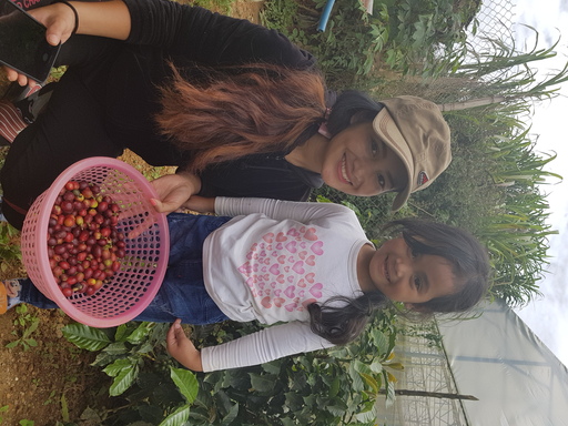 Harvesting
