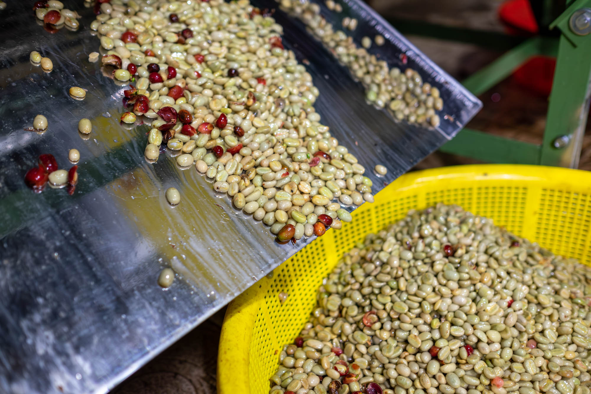 pulping#scroll-content